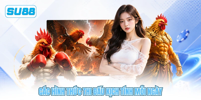 Các hình thức thi đấu kịch tính mỗi ngày