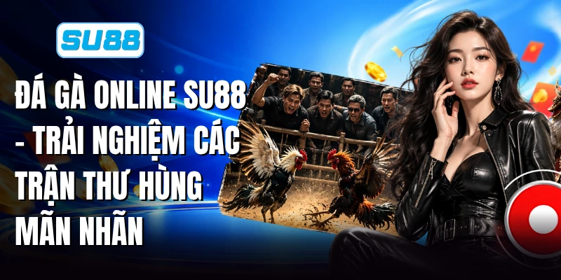 Đá Gà Online SU88 - Trải Nghiệm Các Trận Thư Hùng Mãn Nhãn