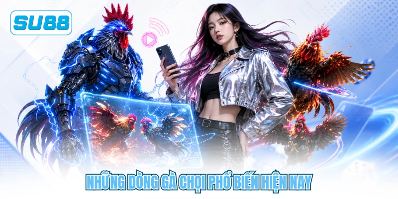 Những dòng gà chọi phổ biến hiện nay